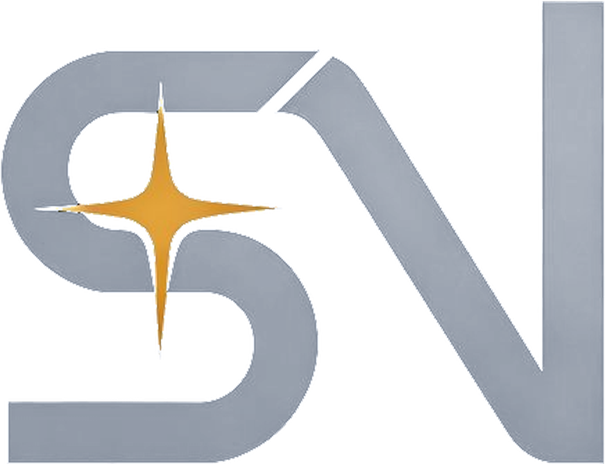 StarnexHub logo